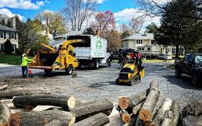 Best Lawn Maintenance Plans  in Texarkana, TX
