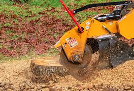 Lawn Pest Prevention in Texarkana, TX